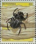 Large Copper Dung-Beetle (Kheper nigroaeneus)
