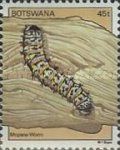 Mopane Worm (Gonimbrasia belina)