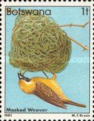 Southern Masked Weaver (Ploceus velatus)
