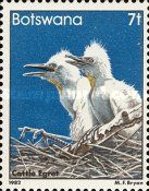 Cattle Egret (Bubulcus ibis)