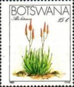 Malapati Aloe (Aloe lutescens)