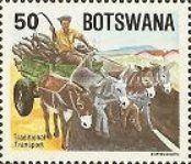 Donkey Cart