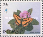 Common Joker (Byblia acheloia)