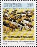 Landscape with Cattle (Bos primigenius taurus), Kgalagadi
