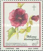 Hibiscus diversifolius