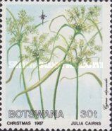 Cyperus alopecuroides