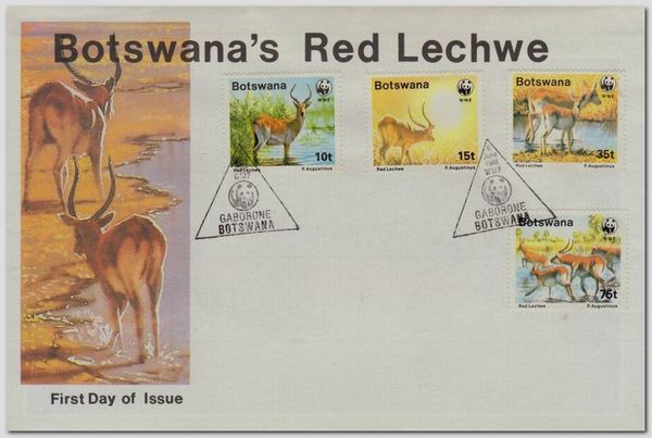 Red Lechwe (Kobus leche leche)