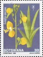 Eulophia speciosa