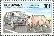 Livestock on Road