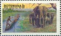 African Elephant (Loxodonta africana)