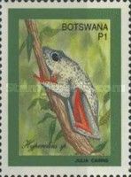 African Reed Frog (Hyperolius sp.)
