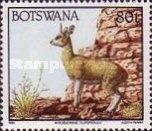 Klipspringer (Oreotragus oreotragus)