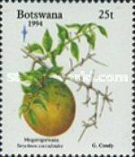 Strychnos cocculoides
