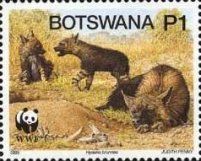 Brown Hyaena (Hyaena brunnea)