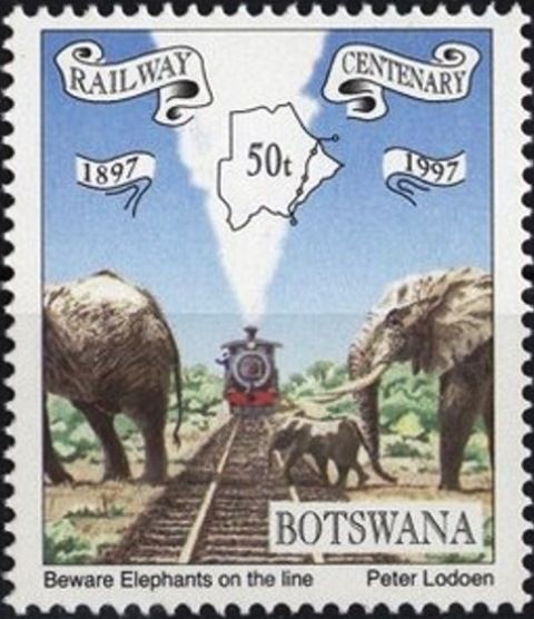 African Elephants (Loxodonta africana) Cross Railroad