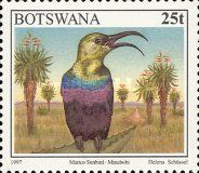 Marico Sunbird (Nectarinia mariquensis)