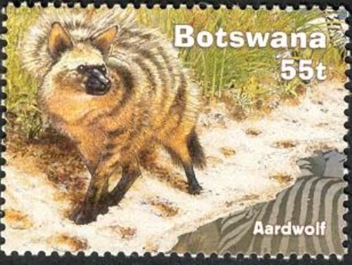 Aardwolf (Proteles cristatus) 