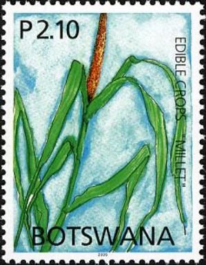 Millet