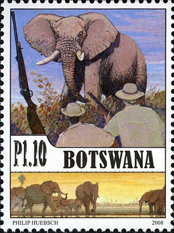 African Elephant (Loxodonta africana)
