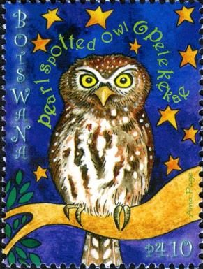 Pearl-spotted Owlet (Glaucidium perlatum)