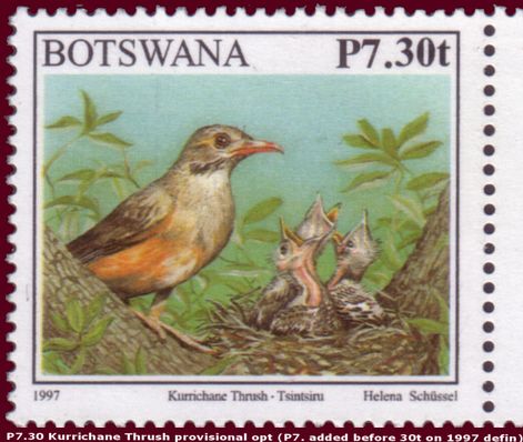 Kurrichane Thrush (Turdus libonyana) - overprint