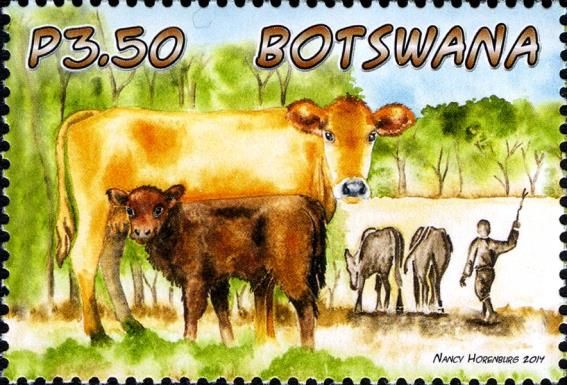 Cattle (Bos primigenius taurus)