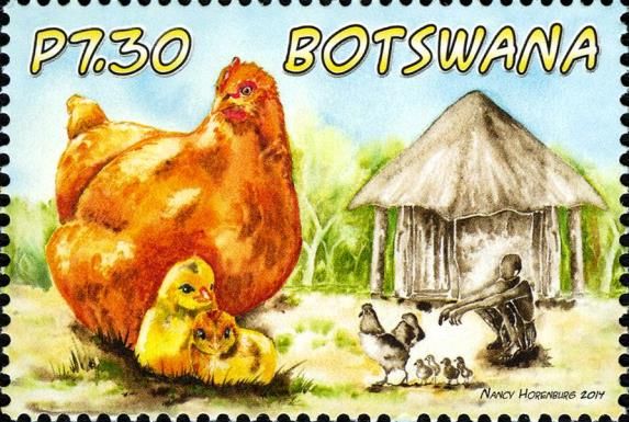 Chicken (Gallus gallus domesticus)
