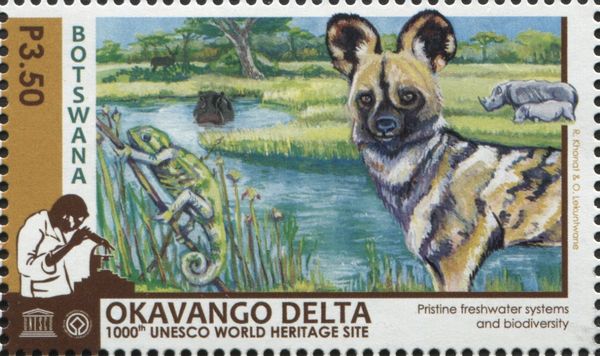 African Wild Dog (Lycaon pictus), Chamaeleon, Rhino
