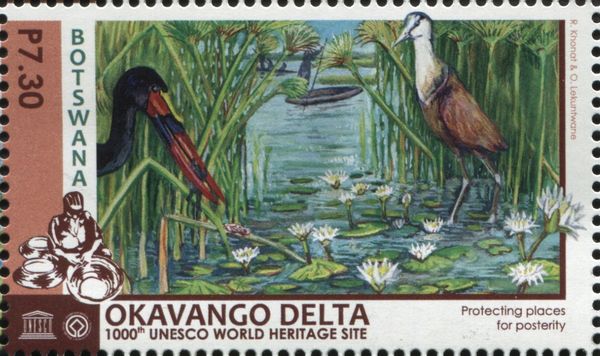 Saddle-billed Stork (Ephippiorhynchus senegalensis), African