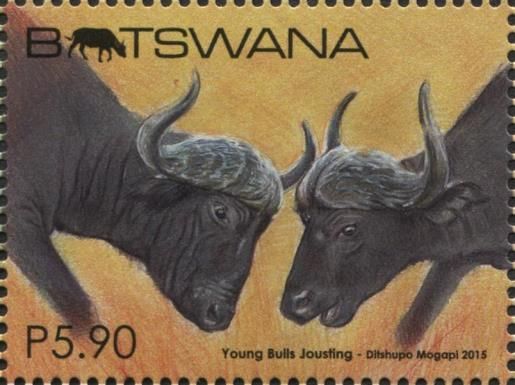 Young Bulls Jousting