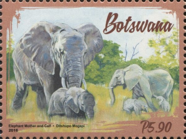 Elephants in Botswana
