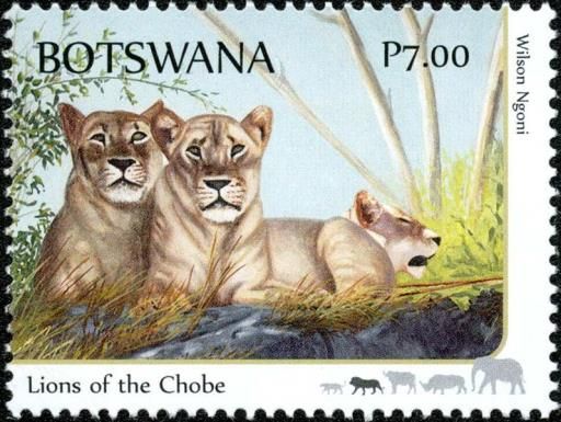 Lions