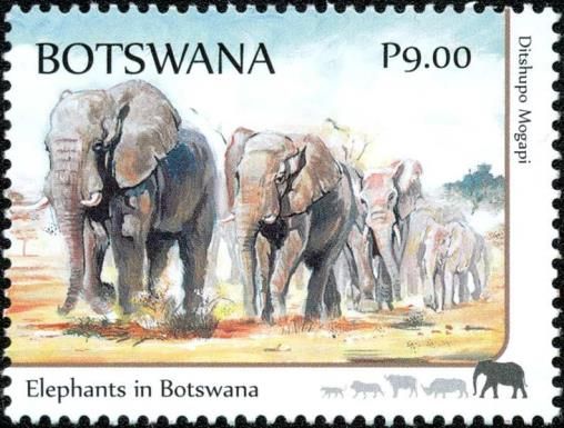 Elephants