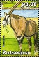 Gemsbok