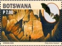 Gchwihaba Caves; Dent's Horseshoe Bat (Rhinolophus denti)