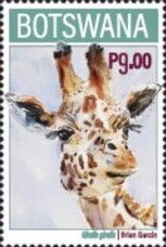 Giraffe (Giraffa giraffa)