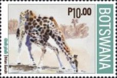 Giraffe (Giraffa giraffa)