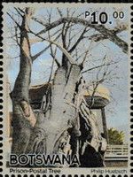 Prison-Postal Tree