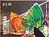 African migrant (Catopsilia florella)
