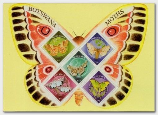 Moths