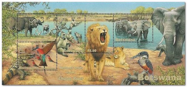 African Fauna