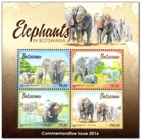 Elephants