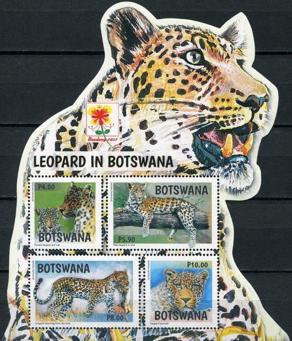Leopards of Botswana