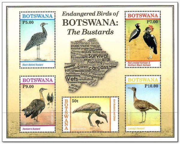Endangered Birds : Bustards