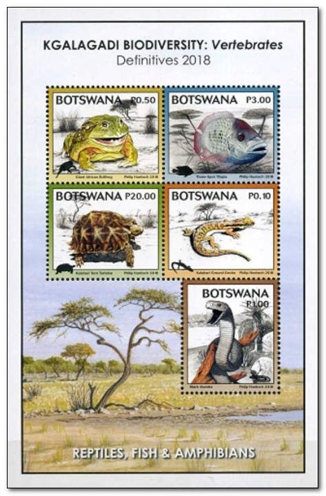 Reptiles, Fish & Amphibians