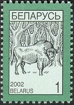 European Bison (Bos bonasus)