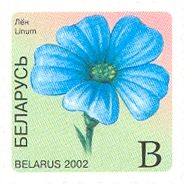 Flax (Linum)