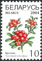 Red Bilberries (Vaccinium vitis-idaea)