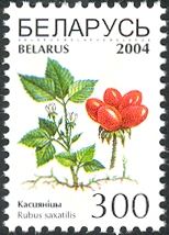 Stone Bramble (Rubus saxatilis)