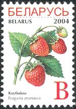 Garden Strawberries (Fragaria ananassa)